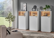 Drei moderne Highboard-Vitrinen in Weiß mit beleuchteten Holzfächern, dekoriert mit Pflanzen und Kunstobjekten, in einem stilvollen Wohnzimmer. Perspektive: Frontalansicht.