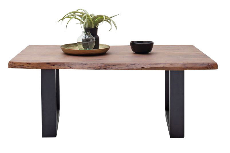 Moderner Couchtisch aus Holz mit Metallbeinen, dekoriert mit einer Pflanze und Schalen, Frontalansicht