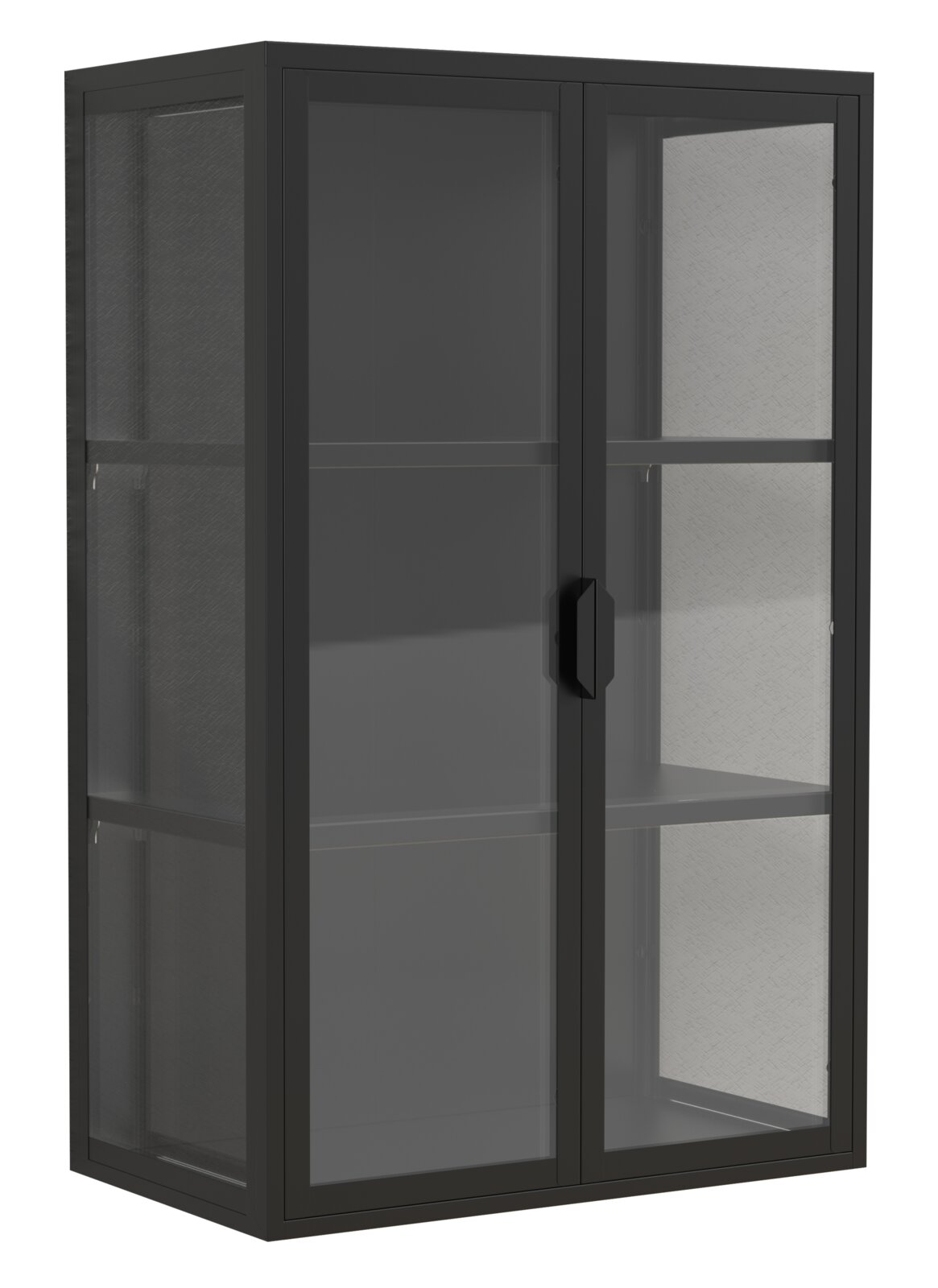 Schwarzer Metall-Glasvitrinenschrank mit zwei Glastüren und Einlegeböden, freigestellt auf weißem Hintergrund, Ansicht schräg von vorne