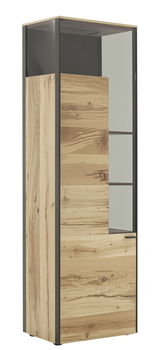 Vitrine aus Holz mit Glasfront, seitliche Perspektive