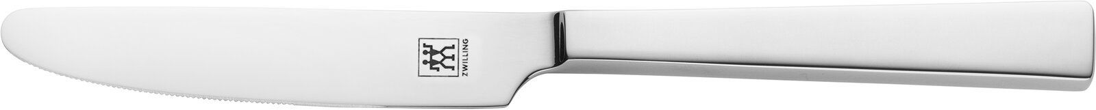 Poliertes Edelstahlmesser aus der Seitenansicht mit markantem Logo auf der Klinge.