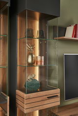 Nahaufnahme einer modernen Vitrine mit Glasregalen, dekoriert mit Gläsern, einer goldenen Ananas und einem kleinen Deko-Chamäleon. Die Perspektive zeigt die Vitrine von vorne leicht seitlich.