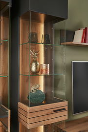 Nahaufnahme einer modernen Vitrine mit Glasregalen, dekoriert mit Gläsern, einer goldenen Ananas und einem kleinen Deko-Chamäleon. Die Perspektive zeigt die Vitrine von vorne leicht seitlich.