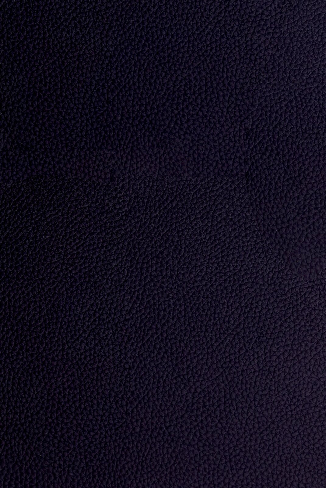 Dieter Knoll Barhocker PABLO Nahaufnahme der dunkelblauen Lederstruktur eines Barhockers.