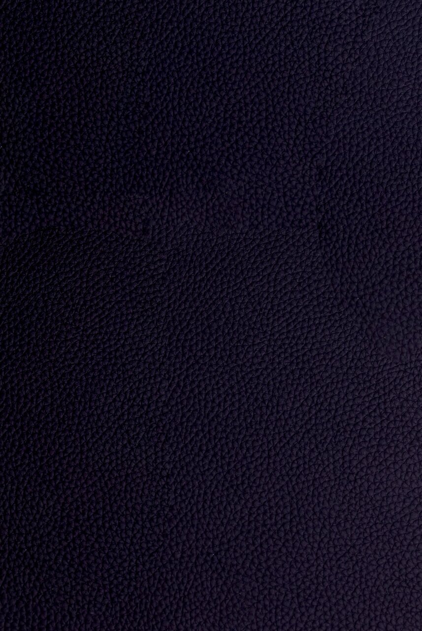 Dieter Knoll Barhocker PABLO Nahaufnahme der dunkelblauen Lederstruktur eines Barhockers.