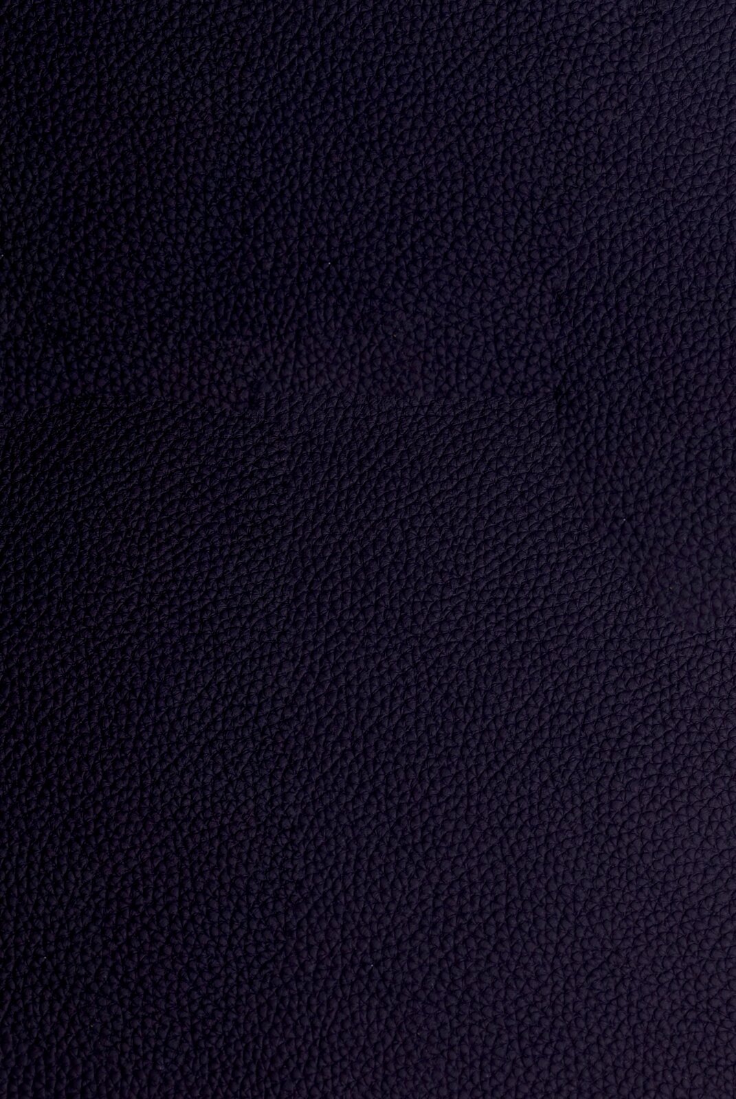 Dieter Knoll Barhocker PABLO Nahaufnahme der dunkelblauen Lederstruktur eines Barhockers.