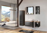 Modernes Badezimmer mit Spiegelpaneel, dunklen Schränken und Waschbecken aus der Perspektive eines hellen Raumes mit Bergblick.