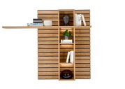 Houten wandpaneel met planken, gefotografeerd vanaf de voorkant. Versierd met boeken, een plant en een beeldje.