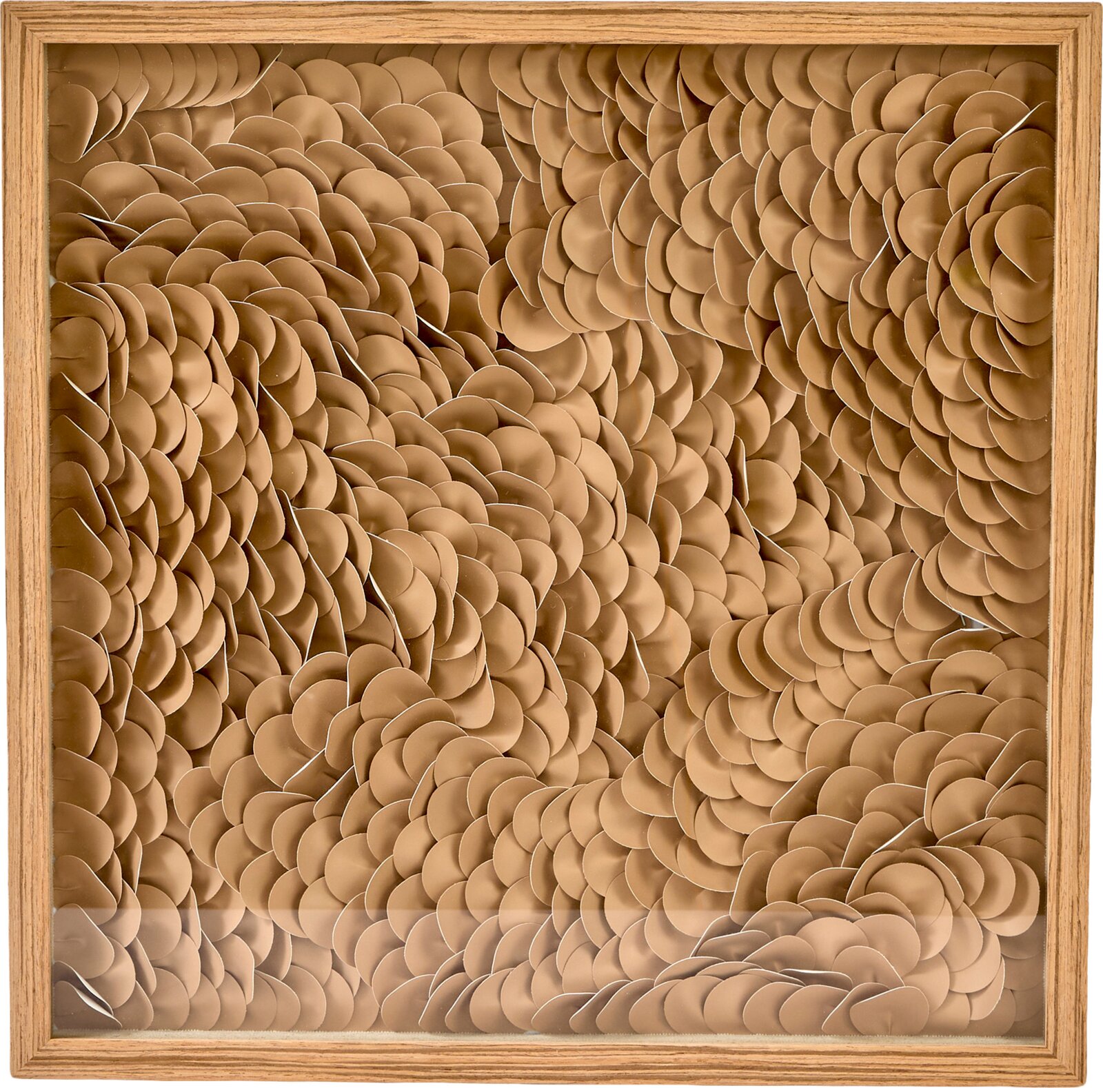 Vooraanzicht van abstracte driedimensionale wanddecoratie met overlappende bruine schijfvormen in een vierkante houten lijst