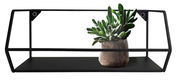 Schwarzes Wandregal mit geometrischem Design, frontal abgebildet, mit einer kleinen Pflanze in einem Topf.