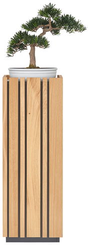 Moderner Beistelltisch aus Holz mit vertikalen Streifen, darauf ein Bonsai-Baum in einer weißen Schale, seitliche Perspektive.