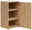 Holzkommode mit geöffneter Tür, zwei Einlegeböden und sichtbarer Holzmaserung, Perspektive von vorne links