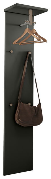 Schwarzes Garderobepaneel mit Haken und Kleiderbügeln, seitliche Perspektive