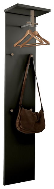 Schwarzes Garderobepaneel mit Haken und Kleiderbügeln, seitliche Perspektive