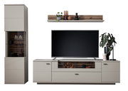 Moderne Wandkombination LÜTTICH in hellem Grau mit TV-Schrank, Vitrine und Wandregal, frontal abgebildet. Dekoriert mit Pflanzen und Accessoires.