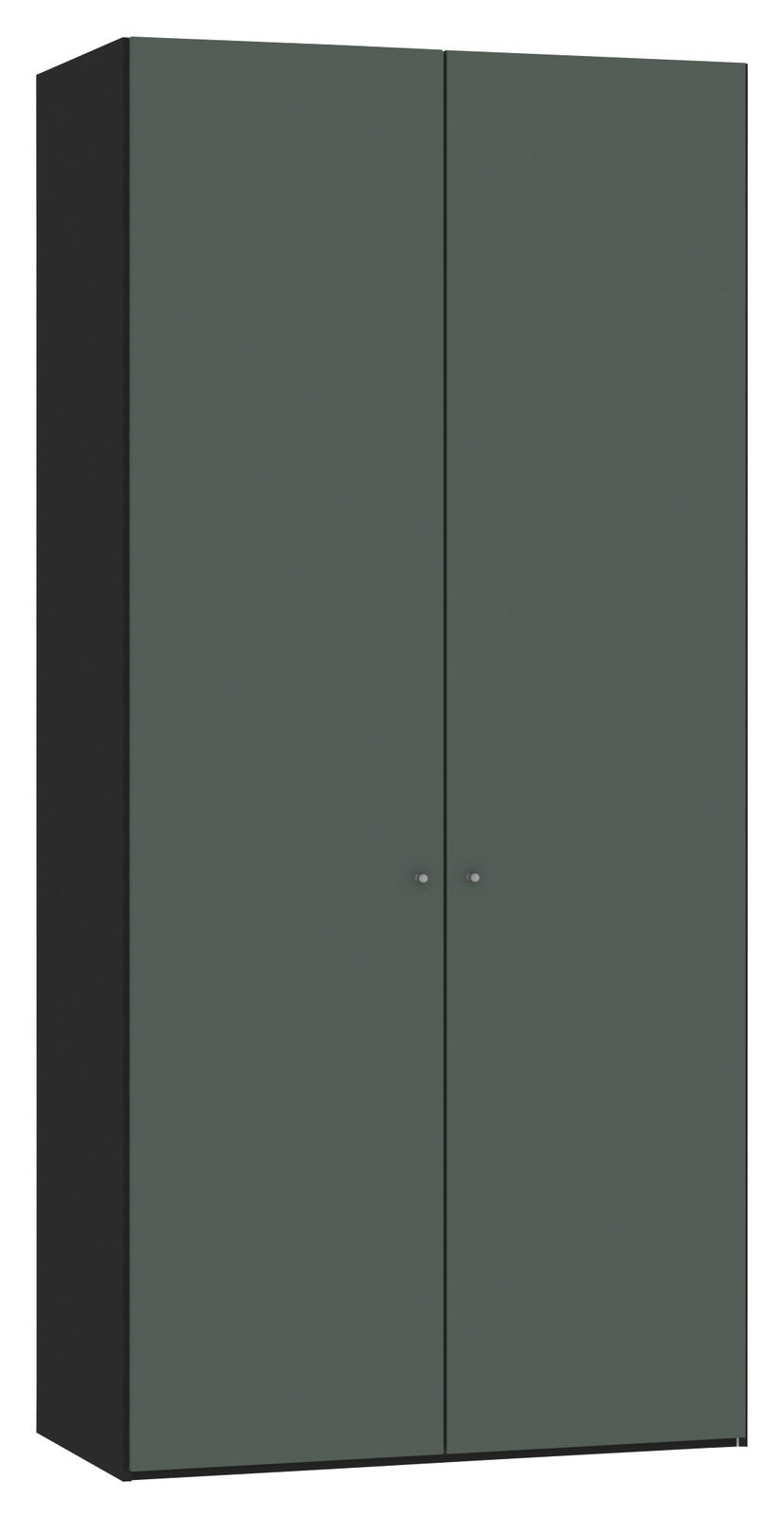 Jutzler Drehtürenschrank 2-türig JUTZLER Zweiflügeliger Drehtürenschrank in dunklem Grün, seitliche Perspektive
