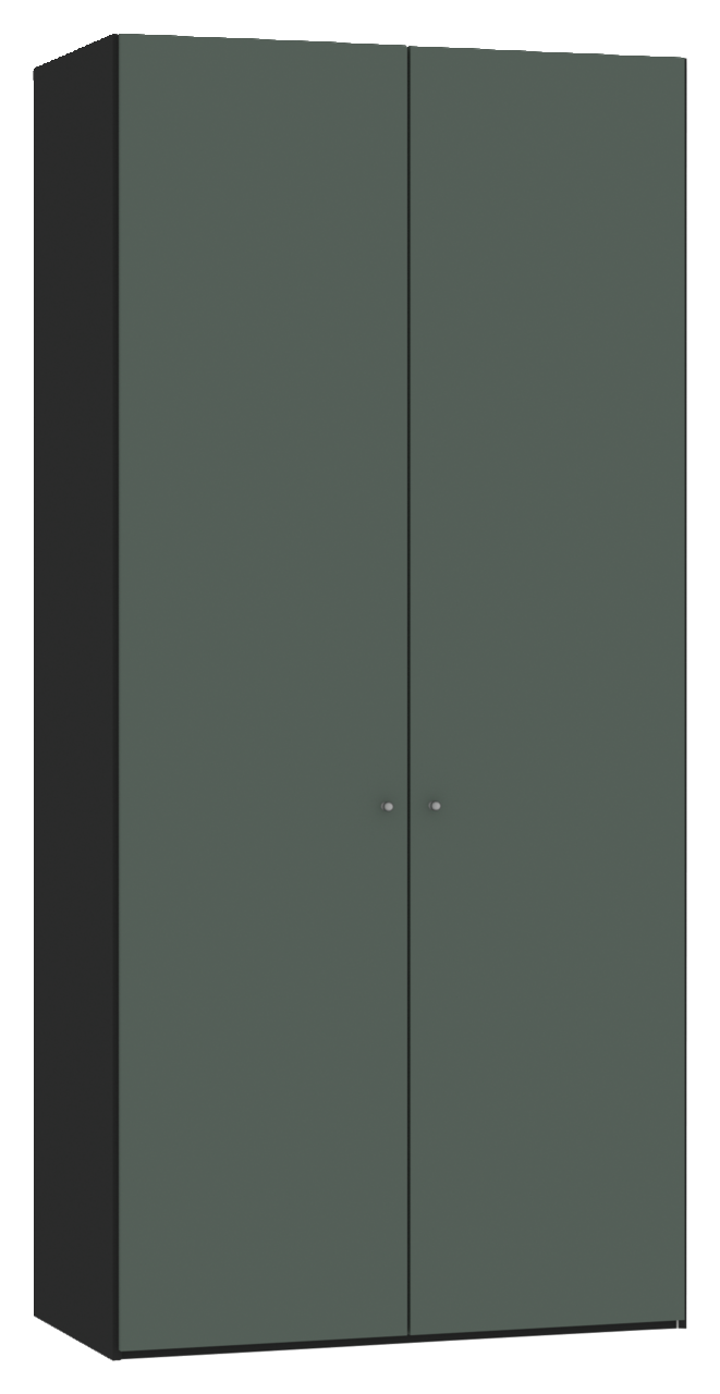 Zweiflügeliger Drehtürenschrank in dunklem Grün, seitliche Perspektive