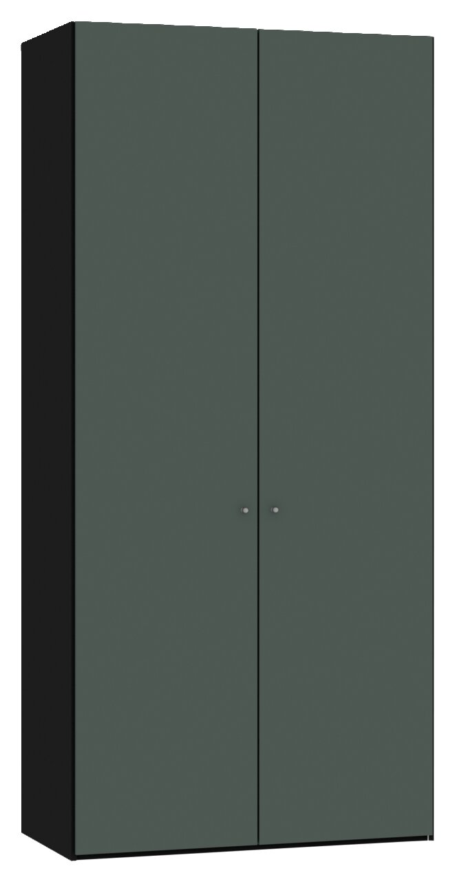 Zweiflügeliger Drehtürenschrank in dunklem Grün, seitliche Perspektive