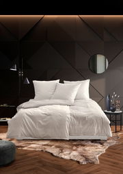 Elegante Bettwäsche in einem modernen Schlafzimmer mit dunkler Akzentwand und stilvollen Dekorationen, Vorderansicht.