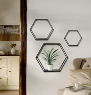 Dreiteiliges Wandregal-Set in sechseckiger Form, an einer Wohnzimmerwand montiert, mit einer Pflanze in einem der Regale. Perspektive von vorne.
