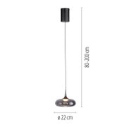 Moderne Pendelleuchte mit rauchgrauem Glas-Schirm und schwarzem Kabel, höhenverstellbar 80–200 cm, Durchmesser 22 cm, Frontansicht auf weißem Hintergrund.