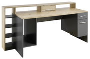 Moderner Gaming-Schreibtisch aus Holz und Metall mit Regalen und Schubladen, seitliche Perspektive