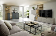 Moderne Wohnzimmeransicht mit Sideboardkombination, bestehend aus einem grauen Sideboard und einem TV-Schrank, dekoriert mit Pflanzen und Kunstwerken, aus der Perspektive eines gemütlichen Sofas.