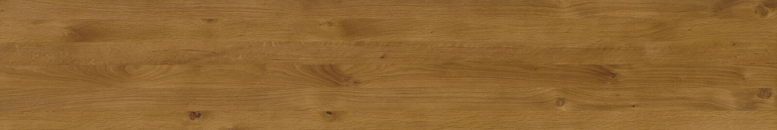 Holzoberfläche in Nahaufnahme, Eichenholz mit natürlicher Maserung, Draufsicht