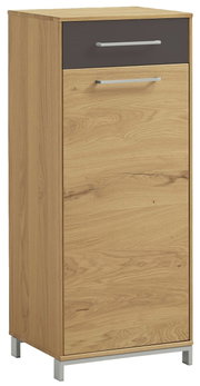 Mehrzweckschrank aus Holz mit einer Schublade und einer Tür, seitliche Perspektive