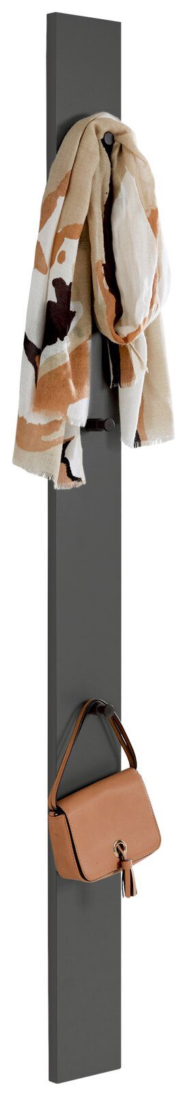 Garderobenpaneel in vertikaler Perspektive mit Schal und Handtasche an Haken.