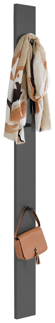Garderobenpaneel in vertikaler Perspektive mit Schal und Handtasche an Haken.