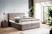 Boxspringbett in einem modernen Schlafzimmer mit grauem Kopfteil, seitlicher Perspektive, umgeben von Pflanzen und natürlichem Licht.