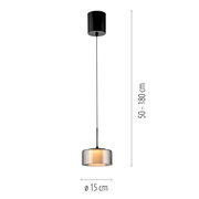 Moderne Pendelleuchte RIKA von Paul Neuhaus mit verstellbarer Höhe von 50 bis 180 cm, schwarzem Baldachin und elegantem, transparentem Lampenschirm. Seitenansicht.