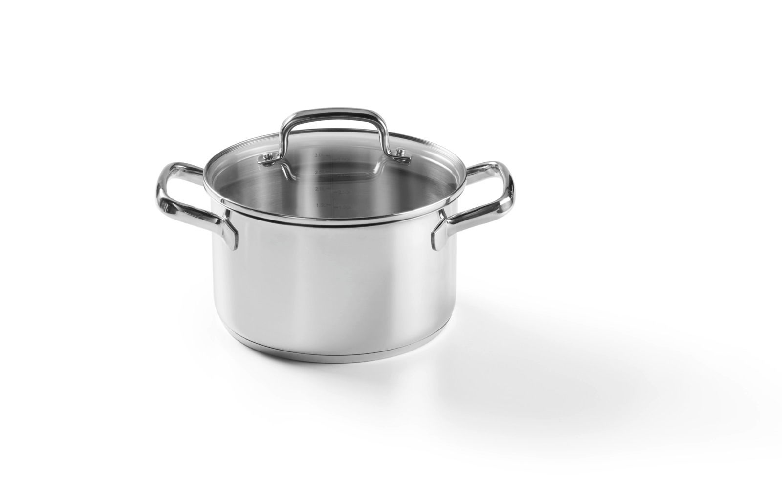 Edelstahl Kochtopf mit Glasdeckel, seitliche Perspektive