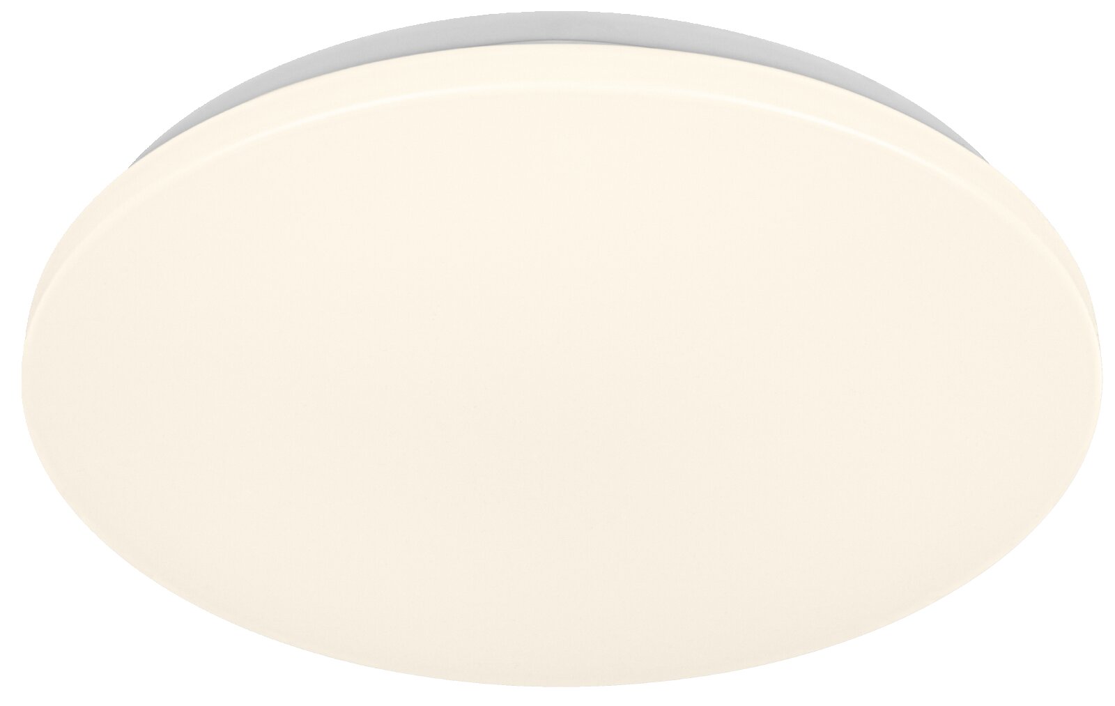 Ovale, crèmekleurige plafond- of wandlamp met vlakke diffuser, getoond in bovenaanzicht op witte achtergrond