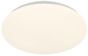 Ovale, crèmekleurige plafond- of wandlamp met vlakke diffuser, getoond in bovenaanzicht op witte achtergrond