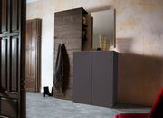 Moderner Eingangsbereich mit dunklem Schuhschrank, Garderobenpaneel und Spiegel, seitliche Perspektive