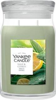 Yankee Candle Duftkerze Sage & Citrus mit salbeigrünem Wachs im großen Glas mit Deckel und drei Dochten, 567 g, frontal dargestellt