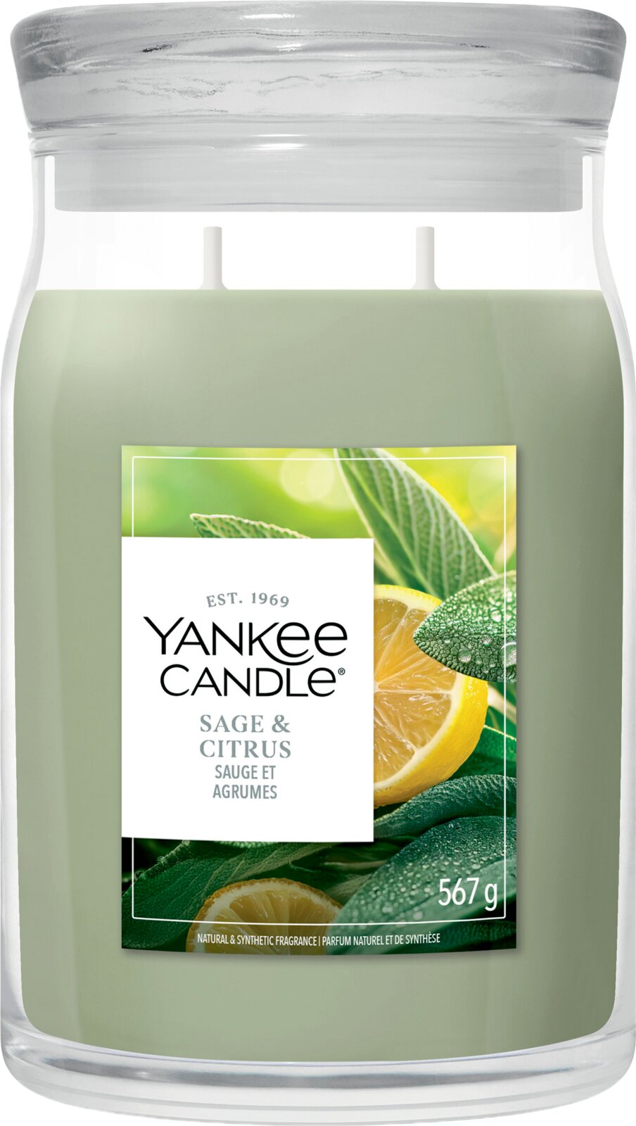 Yankee Candle Duftkerze Sage & Citrus mit salbeigrünem Wachs im großen Glas mit Deckel und drei Dochten, 567 g, frontal dargestellt