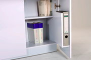 Offener Schrank mit Aktenordner und Büchern, seitliche Perspektive