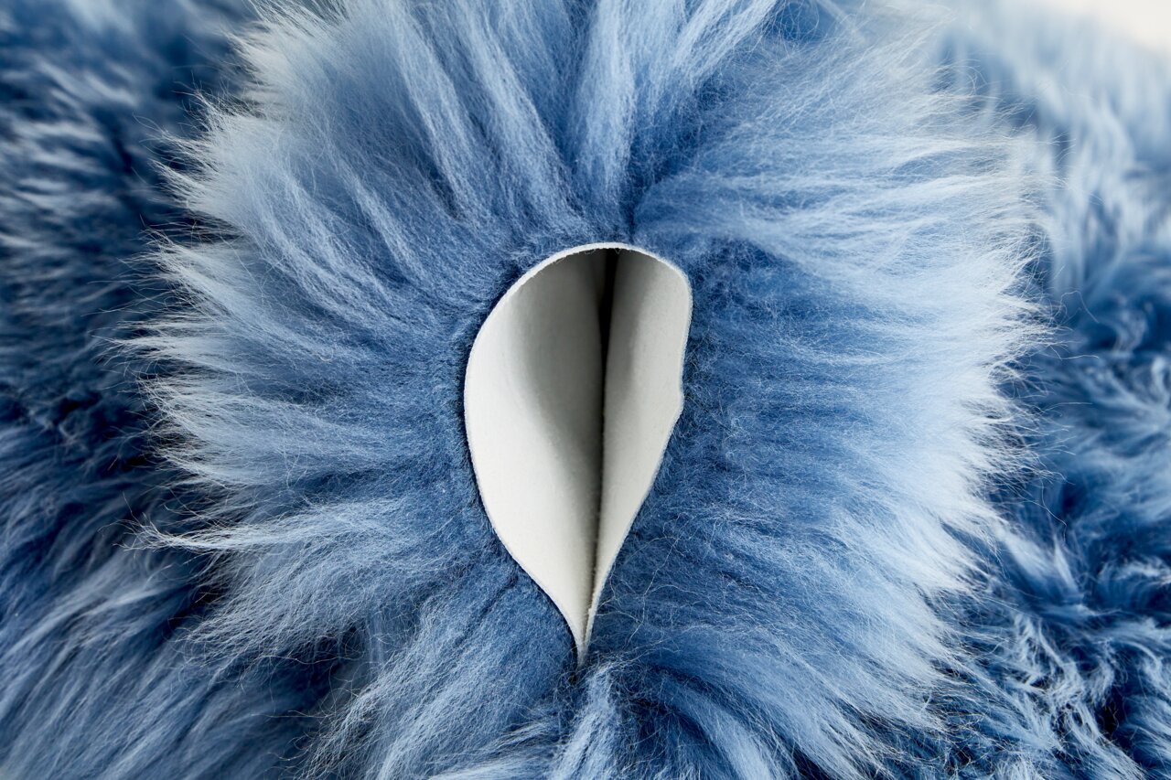 Nahaufnahme eines blauen Schaffells mit weicher, flauschiger Textur.