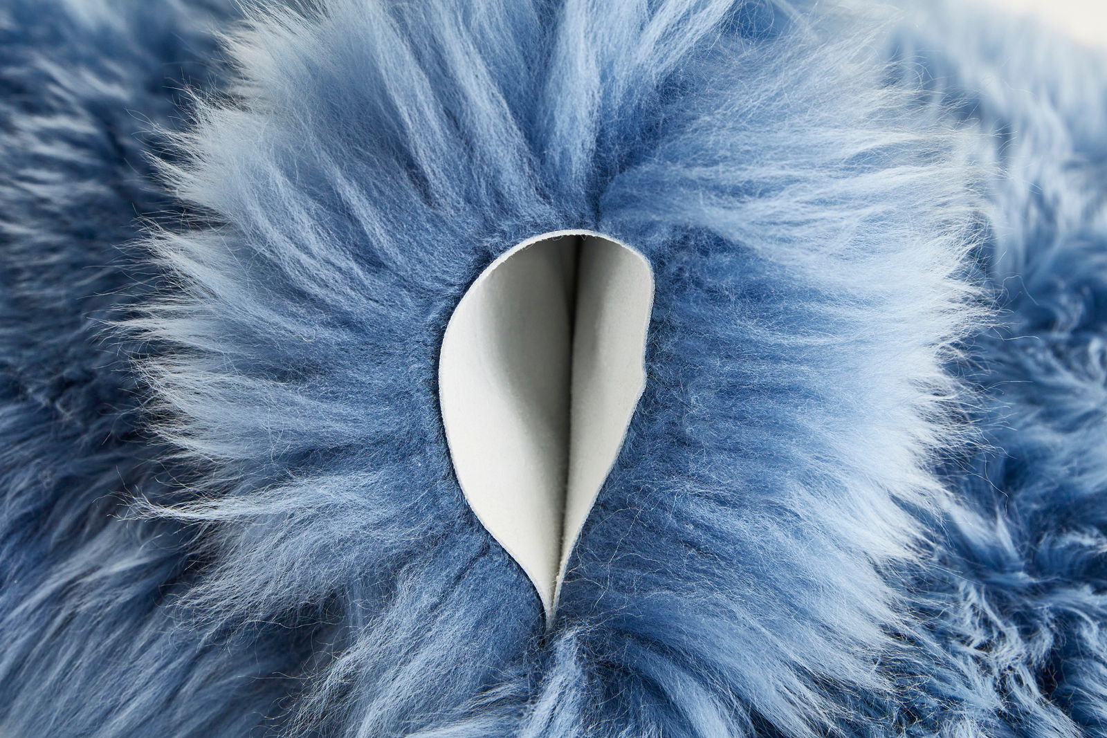 Nahaufnahme eines blauen Schaffells mit weicher, flauschiger Textur.