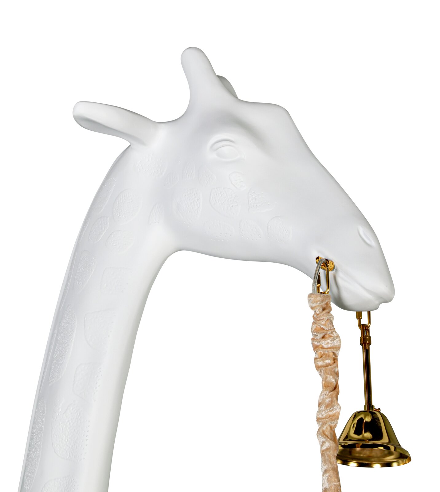 Nahaufnahme eines weißen Giraffen-Kopfes mit geprägtem Fleckenmuster; seitliche Ansicht von rechts, mit goldfarbenem Haken und hängender Glocke vor weißem Hintergrund