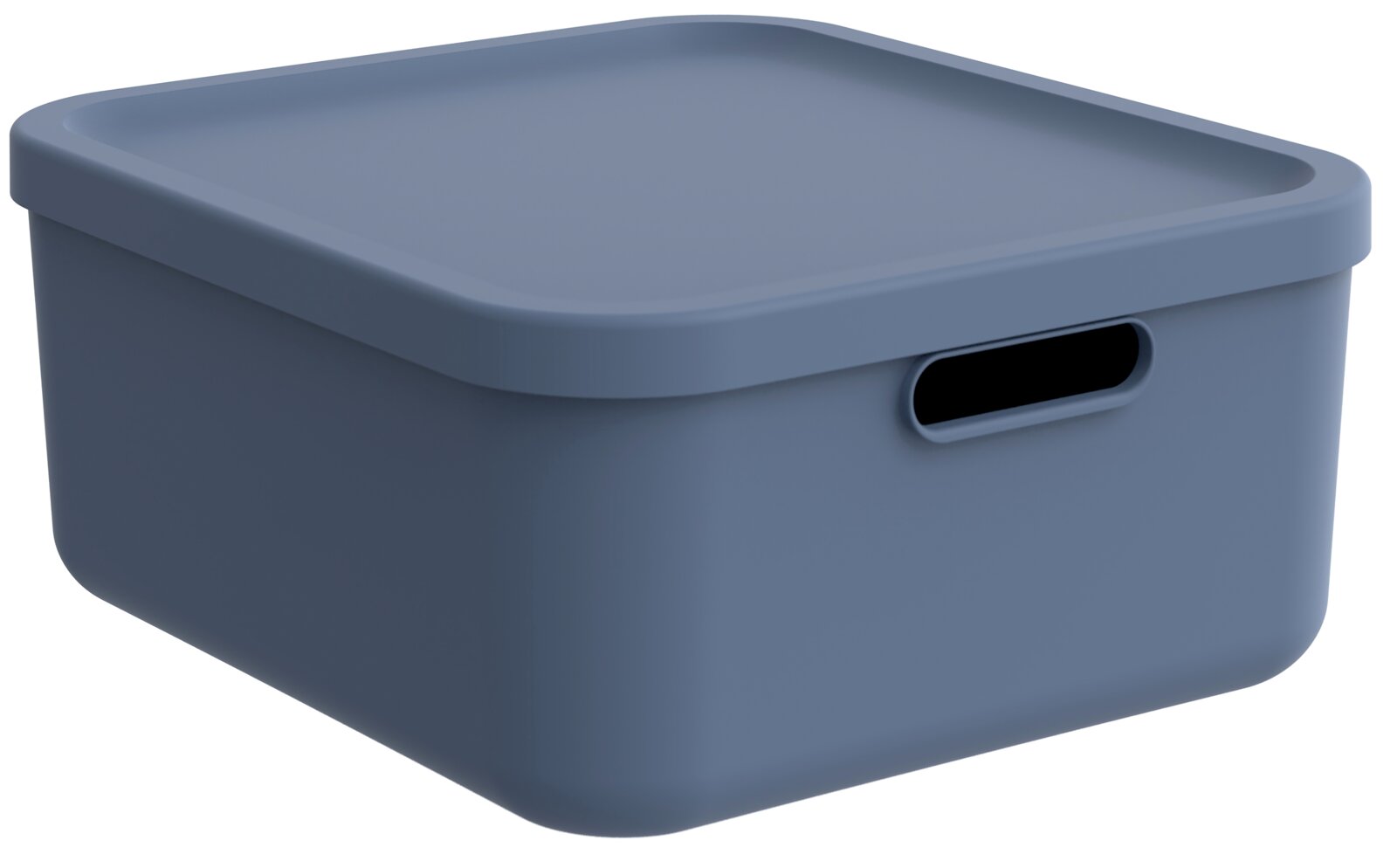 Blau-graue rechteckige Aufbewahrungsbox aus Kunststoff mit Deckel und seitlichem Griffloch, schräge Vorderansicht von oben