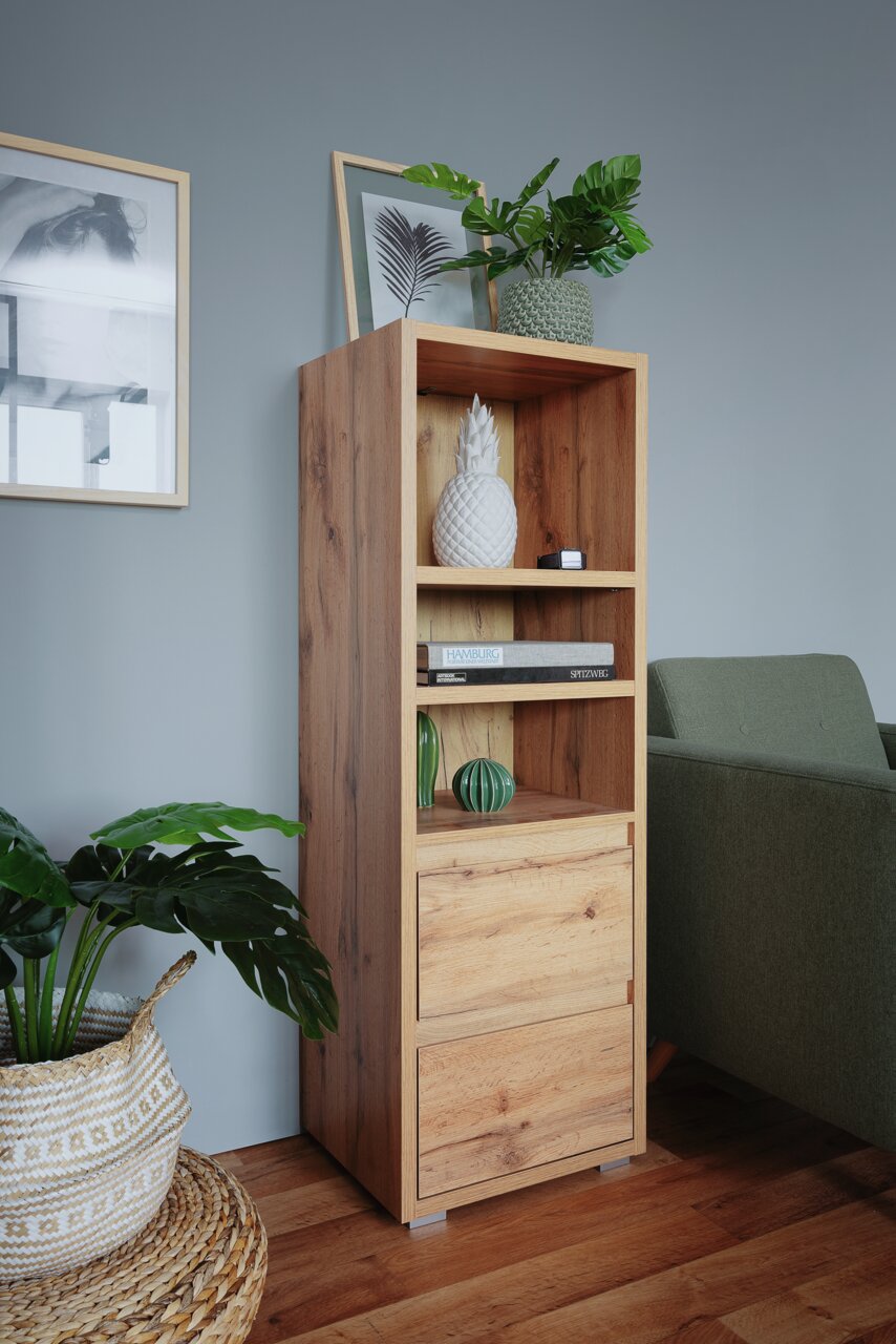 Holzregal mit Dekorationen, Pflanzen und Büchern, seitliche Perspektive