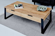 Moderne houten salontafel met zwarte metalen poten, van schuin bovenaf gefotografeerd, op een grijs tapijt, versierd met tijdschriften en een plant.