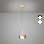 Moderne Pendelleuchte mit rundem, transparent getöntem Glasschirm und warm leuchtendem Leuchtmittel, an mehreren dünnen Seilen von weißer Deckenhalterung abgehängt, Frontalansicht