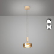 Moderne hanglamp met een ronde, transparant getinte glazen kap en een warm wit licht, opgehangen aan meerdere dunne kabels aan een witte plafondbevestiging, vooraanzicht