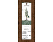 Künstlicher Weihnachtsbaum 'Snowy Alpbach Fir' von Everlands, 1,8 m hoch, mit Schnee bedeckt, aufrecht stehend in der Verpackung.