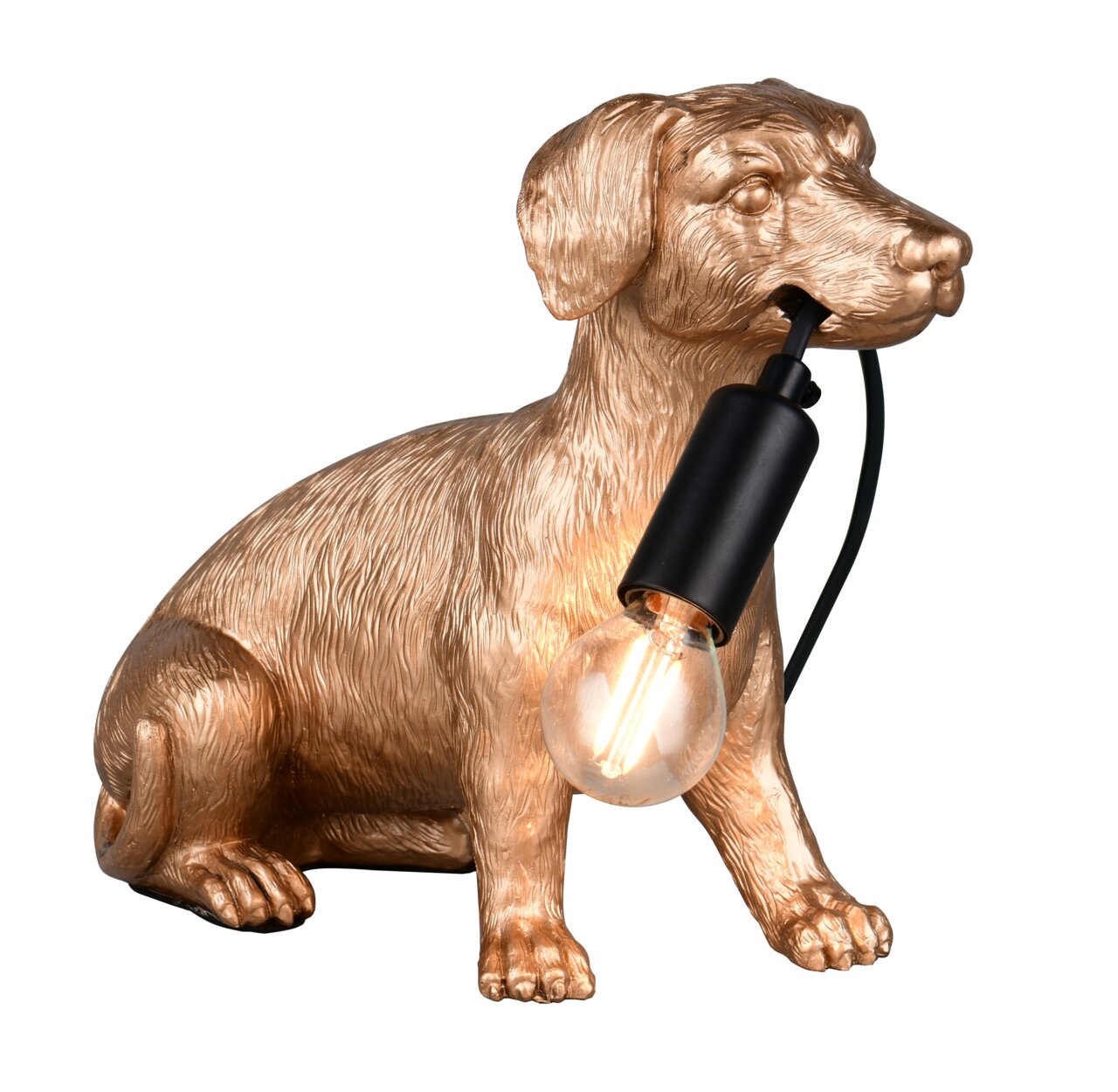 Tischleuchte in Form eines sitzenden Hundes aus goldfarbenem Material, der eine Glühbirne im Maul hält. Seitliche Perspektive.